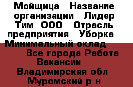 Мойщица › Название организации ­ Лидер Тим, ООО › Отрасль предприятия ­ Уборка › Минимальный оклад ­ 20 000 - Все города Работа » Вакансии   . Владимирская обл.,Муромский р-н